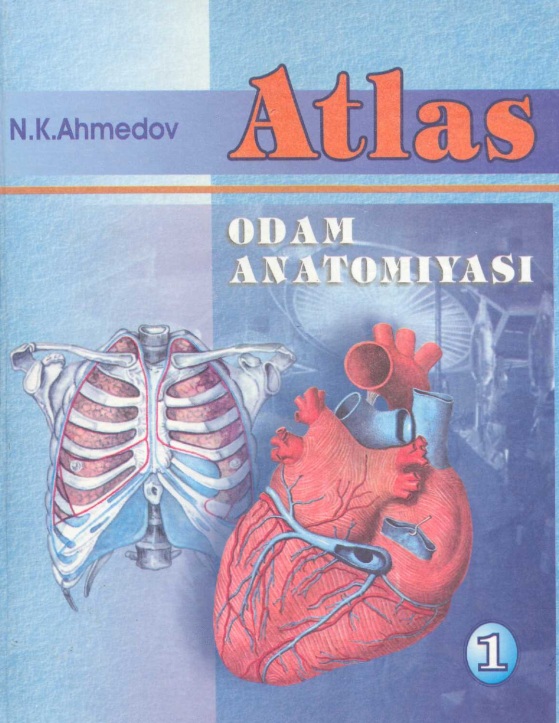 Odam anatomiyasi. Atlas I-Jild