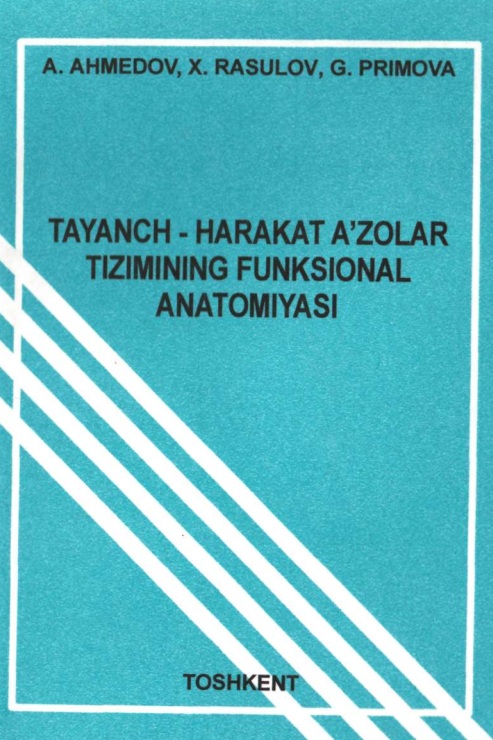 Tayanch-harakat a'zolari tizimining funksional anatomiyasi