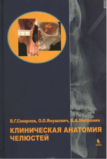 Клиническая анатомия челюстей