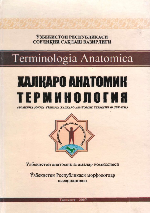 Халқоро анатомик терминология