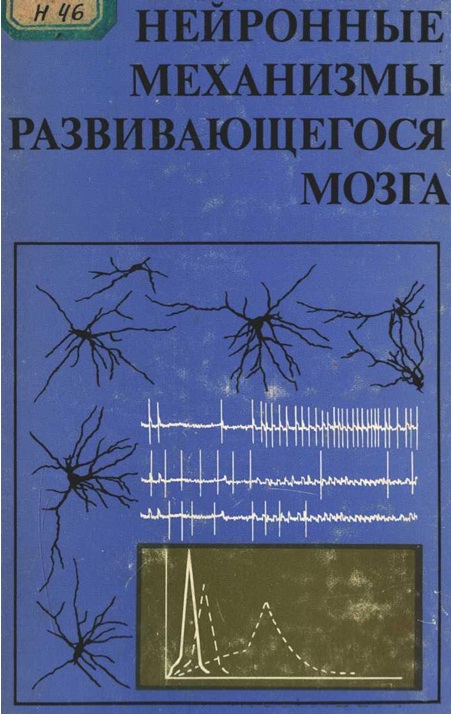 Нейронные механизмы развивающегося мозга