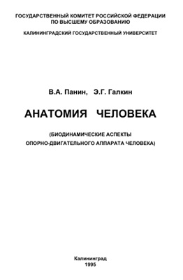 Анатомия человека