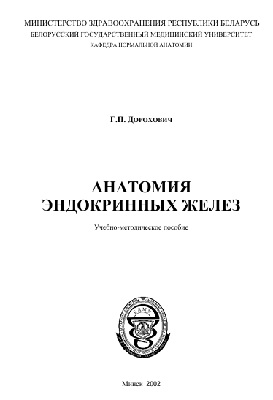 Анатомия эндокринных желез