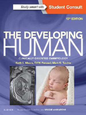 The developing human, tenth edition international edition