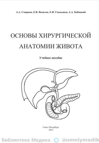 Основы хирургической  анатомии живота