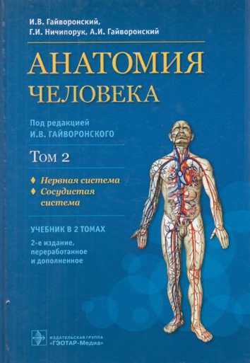 Анатомия человека том 2