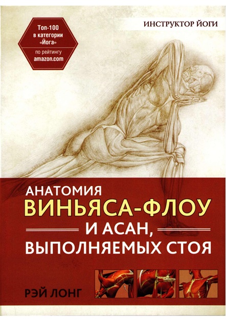 Анатомия виньяса-флоу и асан, выполняемых стоя