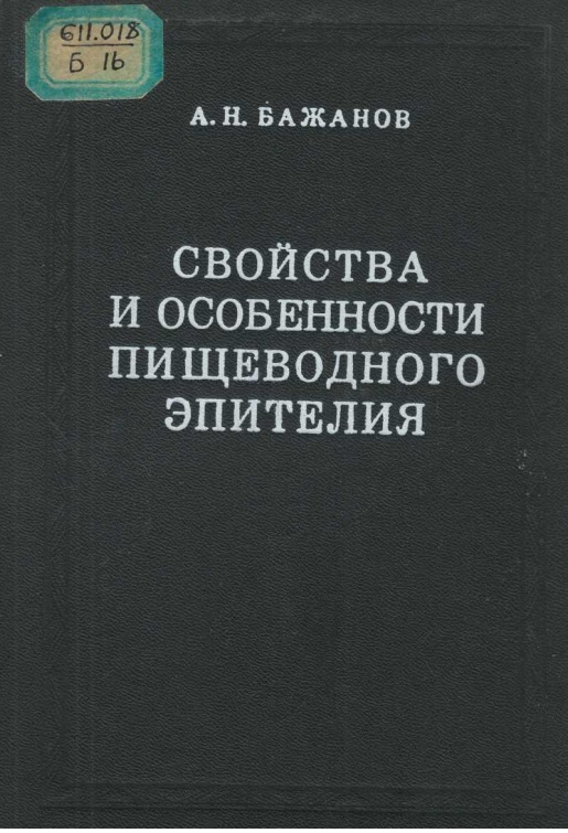 Свойства и особенности пишеводного эпителия