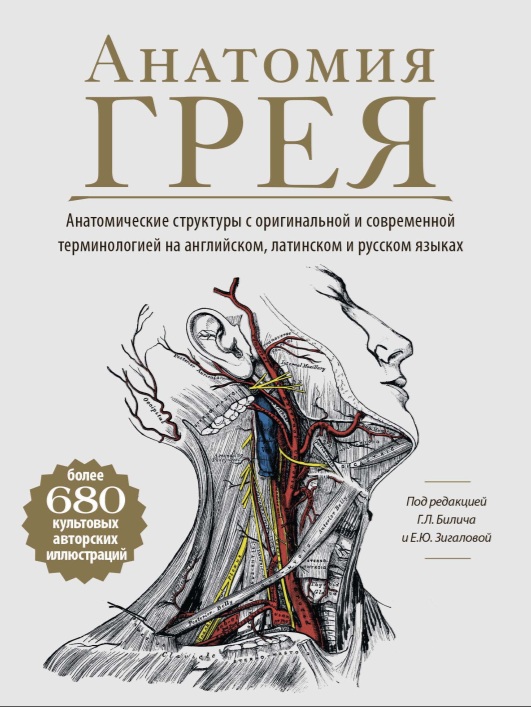 Анатомия грея: анатомические структуры с оригинальной и современной терминологией на английском, латинском и русском языках