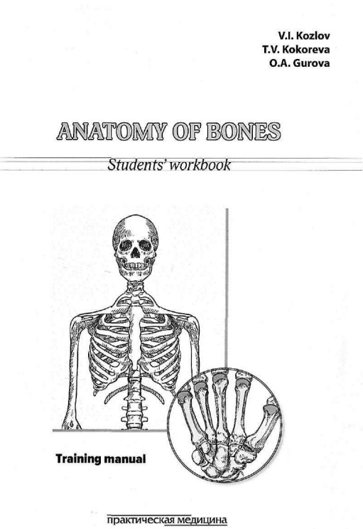 Anatomy of bones.