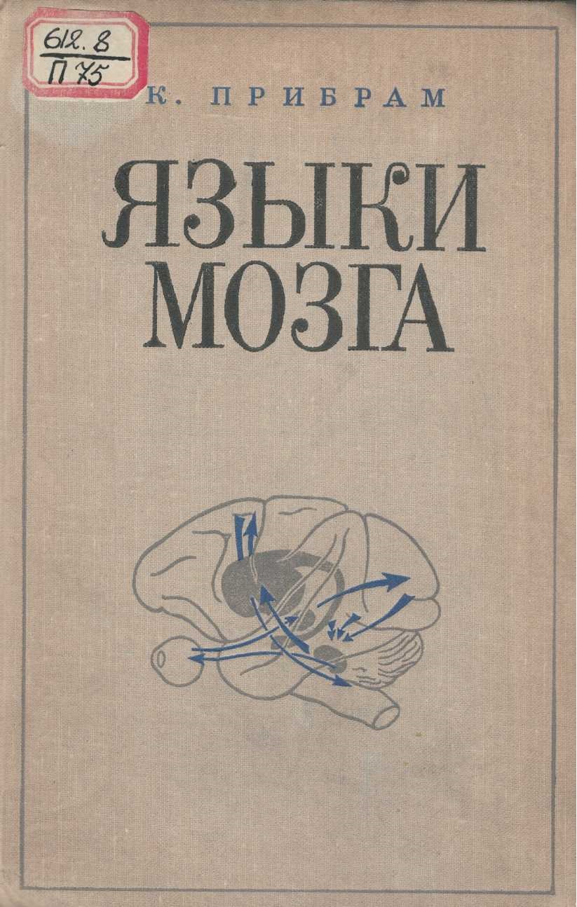 Языки мозга