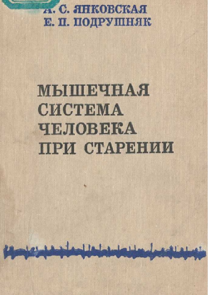 Мышечная система человека при старении