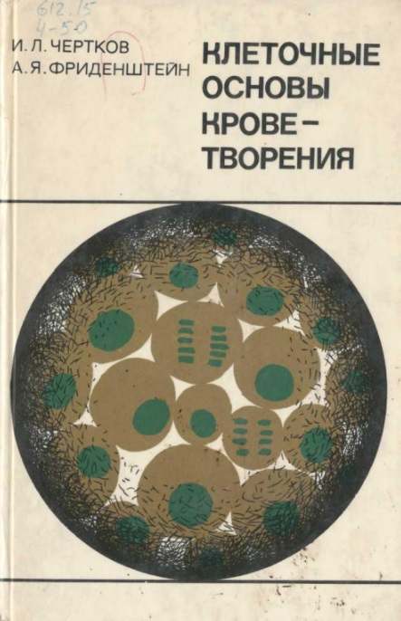 Клеточные основы кроветроения