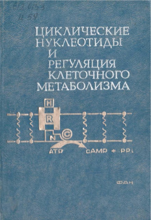 Циклические нуклеотиды и регуляция клеточного метаболизма