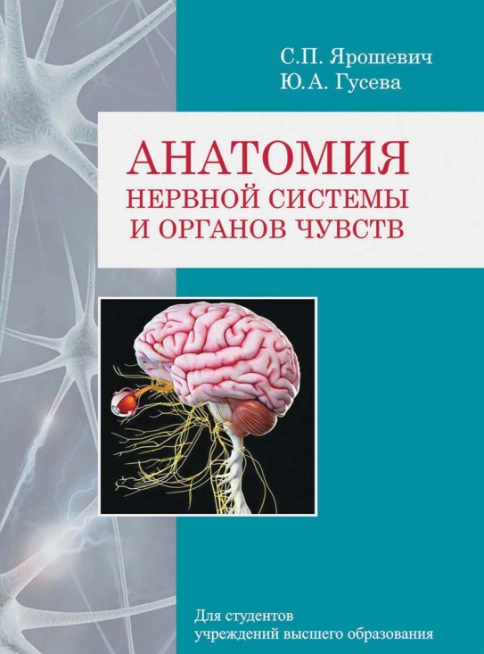 Анатомия нервной системы и органов чувств