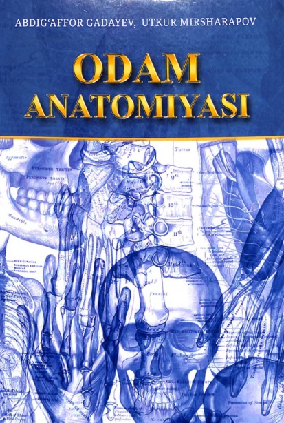 Odam anatomiyasi