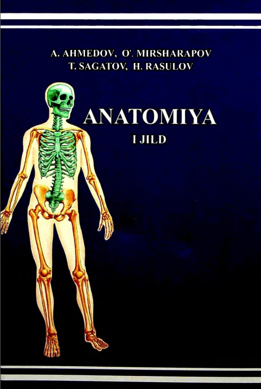 Anatomiya I-Jild