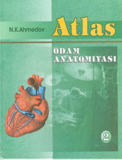 Odam anatoniiyasi II-Jild