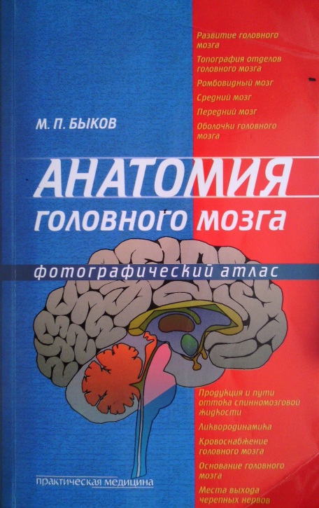 Анатомия головного мозга. Фотографический атлас