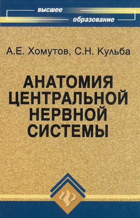 Анатомия центральной нервной системы