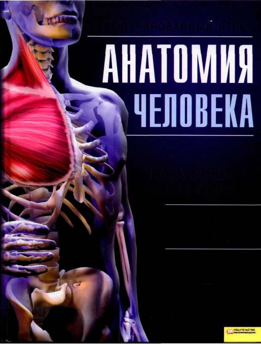 Анатомия человека. Иллюстрированный атлас