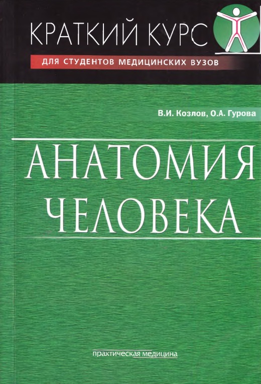 Анатомия человека. Краткий курс
