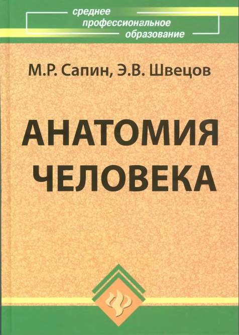 Анатомия человека
