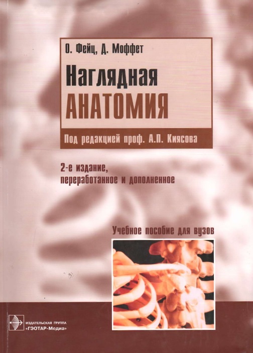 Наглядная анатомия