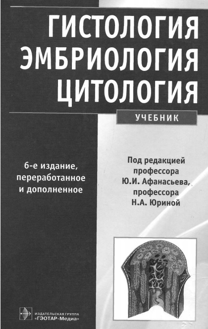 Гистология эмбриология цитология