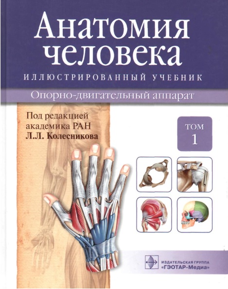 Анатомия человека том 1