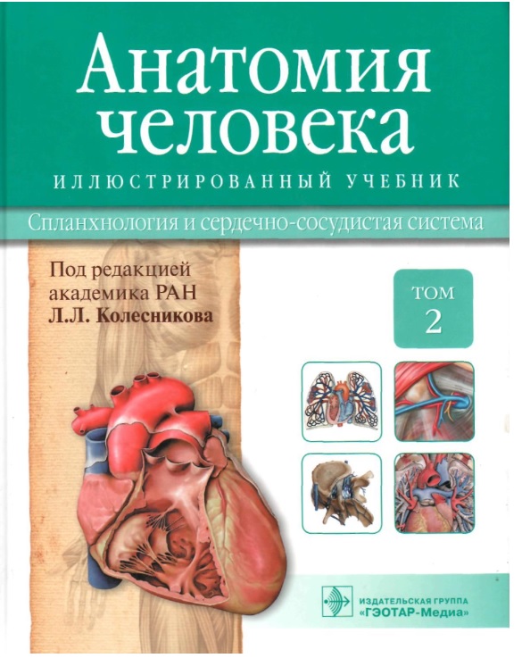 Анатомия человека том 2