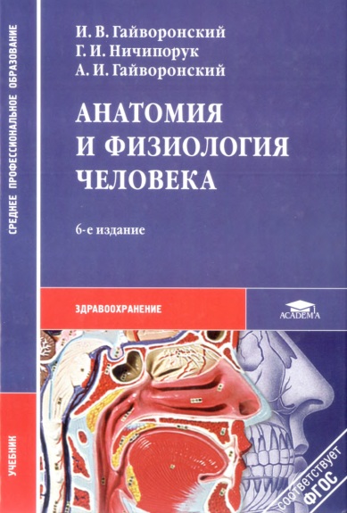 Анатомия и физиология человека