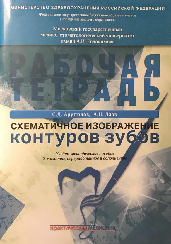 Схематичное изображение контуров зубов