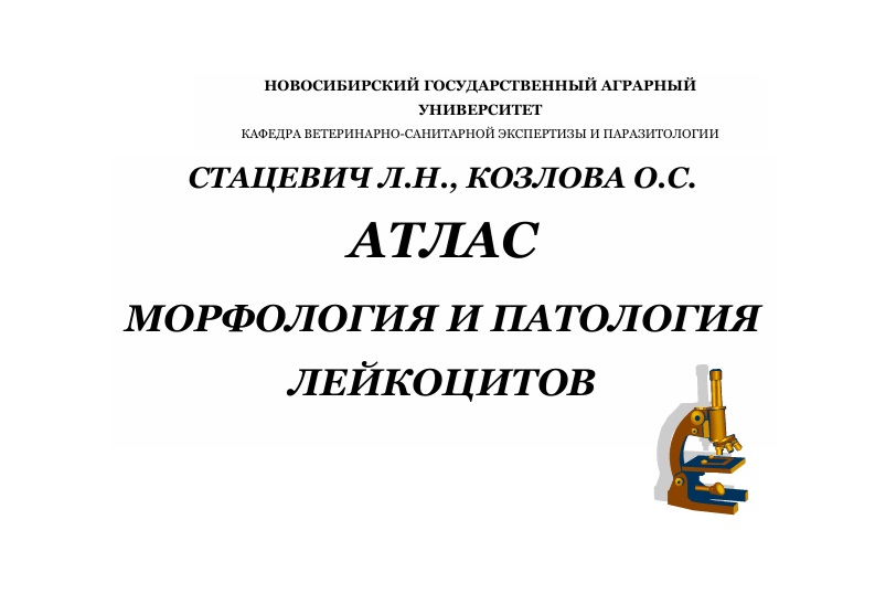 Атлас морфология и патология лейкоцитов