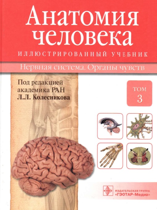 Анатомия человека том 3