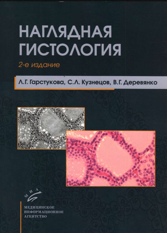 Наглядная гистология