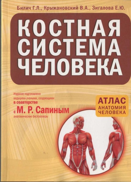 Костная система человека  атлас анатомия человека