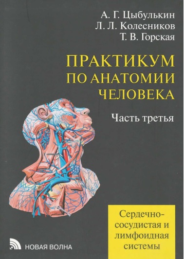 Практикум по анатомии человека