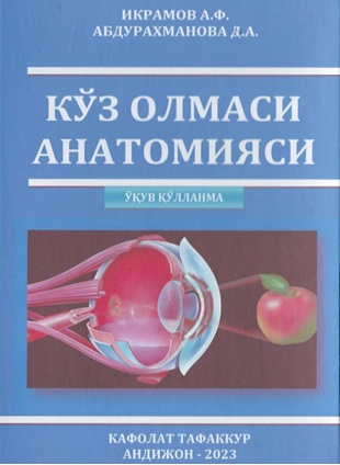 Кўз олмаси анатомияси