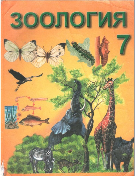 Зоология