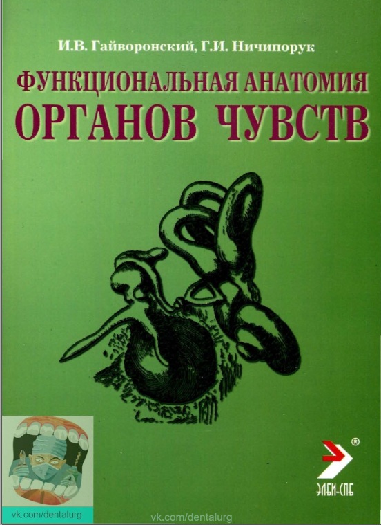 Функциональная анатомия органов чувств