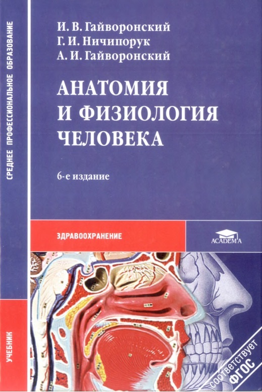 Анатомия и физиология человека