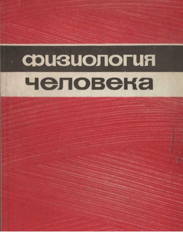 Физиология человека