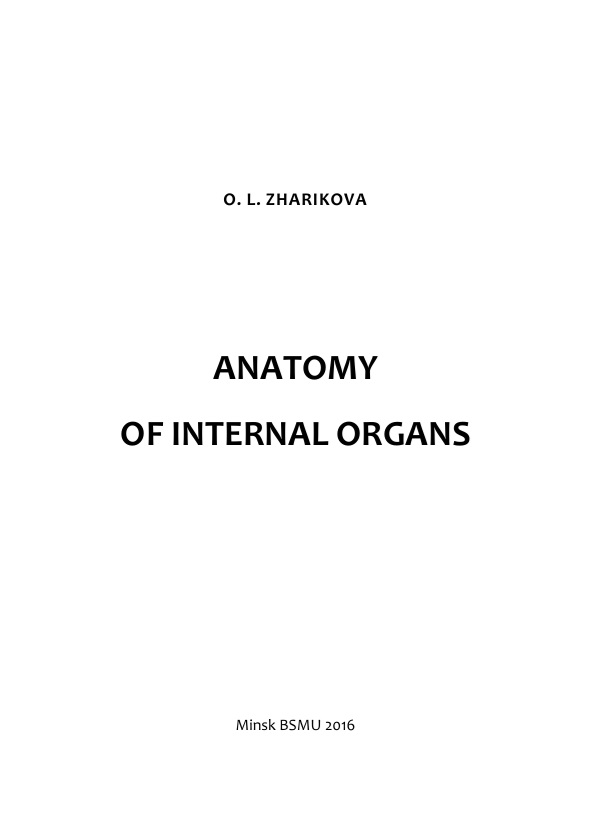 Anatomy of internal organs