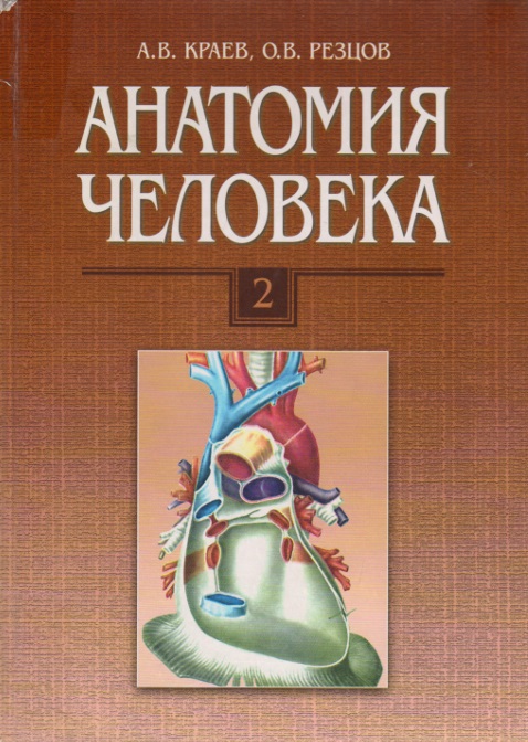 Анатомия человека .Том 2