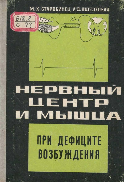 Нервный центр и мышца при дефиците возбуждения