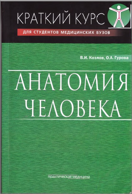 Анатомия человека