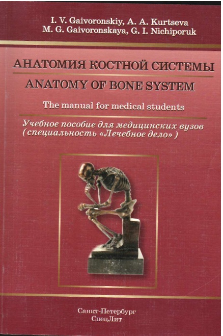 Анатомия костной системы