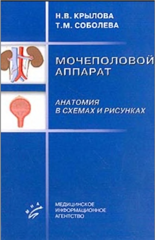 Мочеполовой аппарат