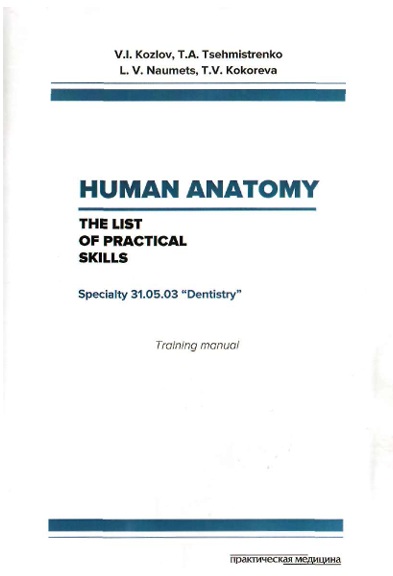 Human anatomy